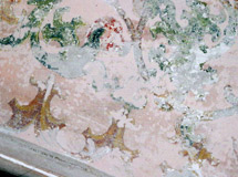 Schloß Lichtenstein Erker im Rittersaal. Gewölbezwickel nach Abnahme einer neuzeitlichen Dispersionsfarbfassung und Putzausbesserung